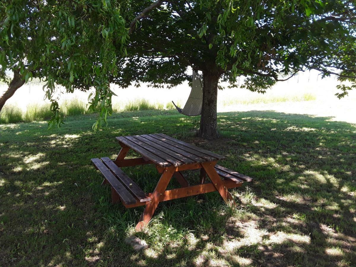 Gitenchassagne Bed and Breakfast Thurins Esterno foto