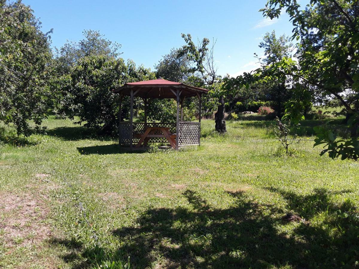 Gitenchassagne Bed and Breakfast Thurins Esterno foto