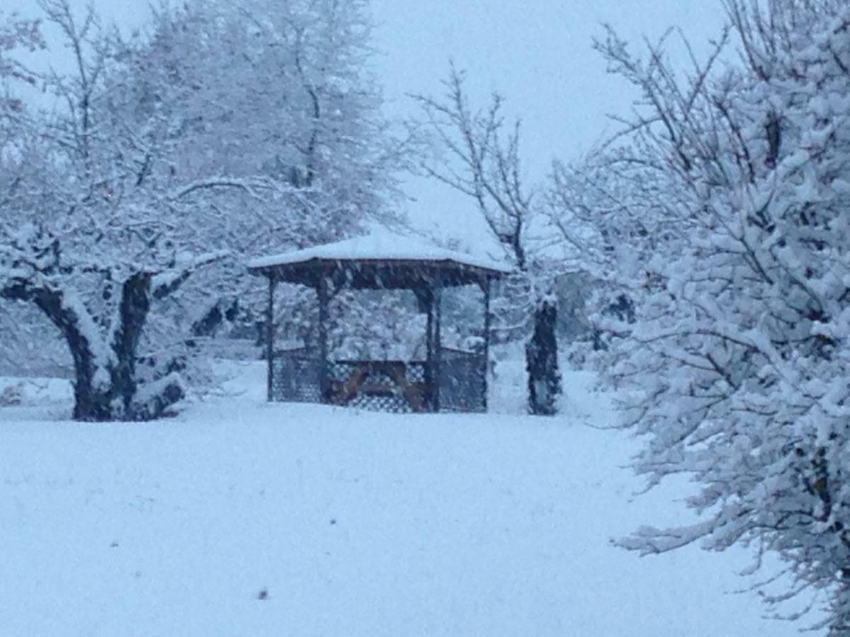 Gitenchassagne Bed and Breakfast Thurins Esterno foto